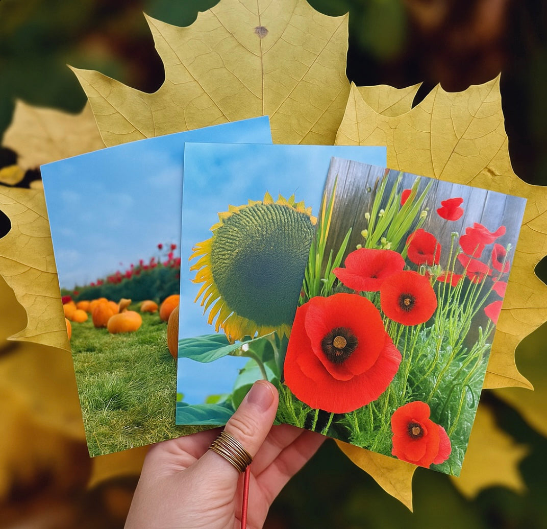 Build Your Own Bundle