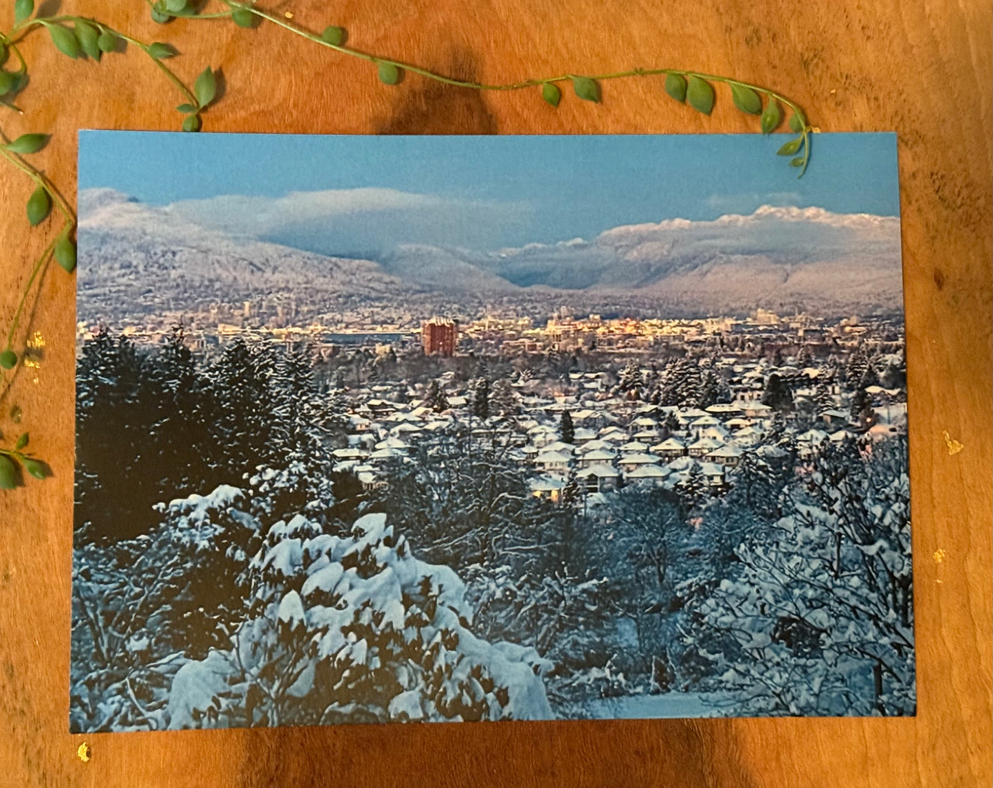 Snowfall Over Vancouver