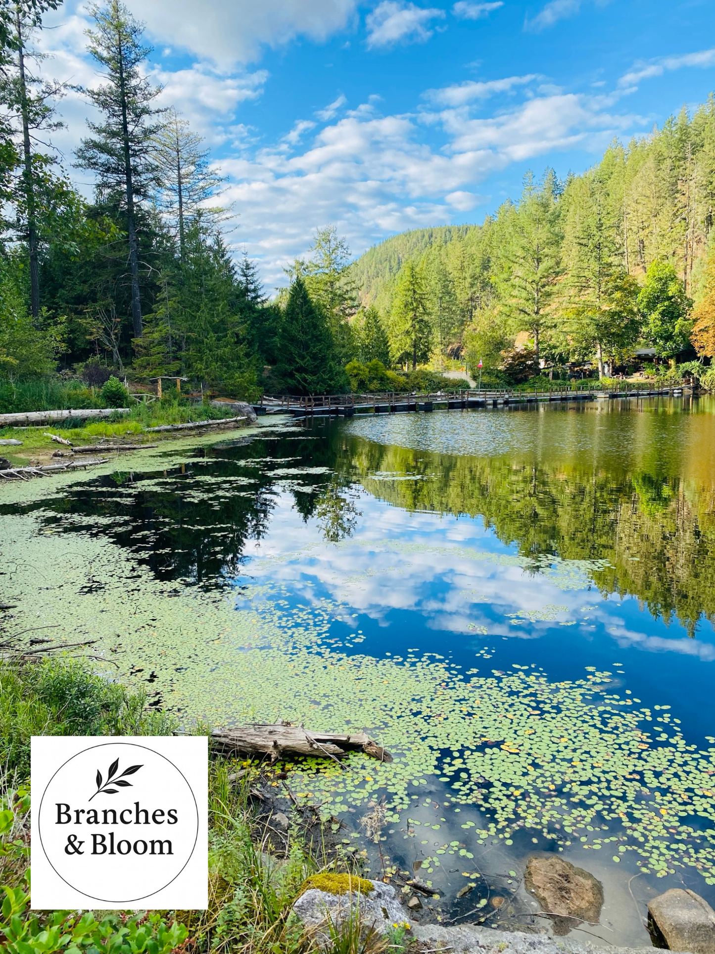 Reflections at Ruby Lake