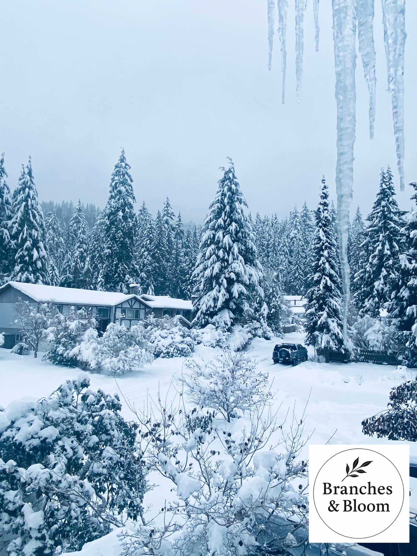 Winter's Crystal Grace