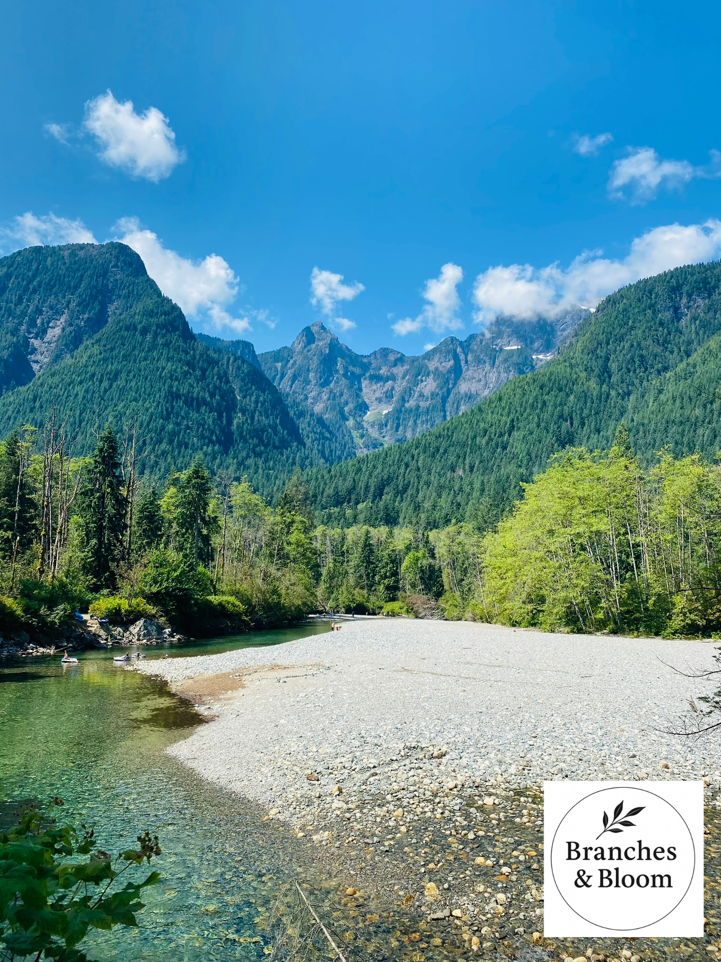 Echoes of the Alpine