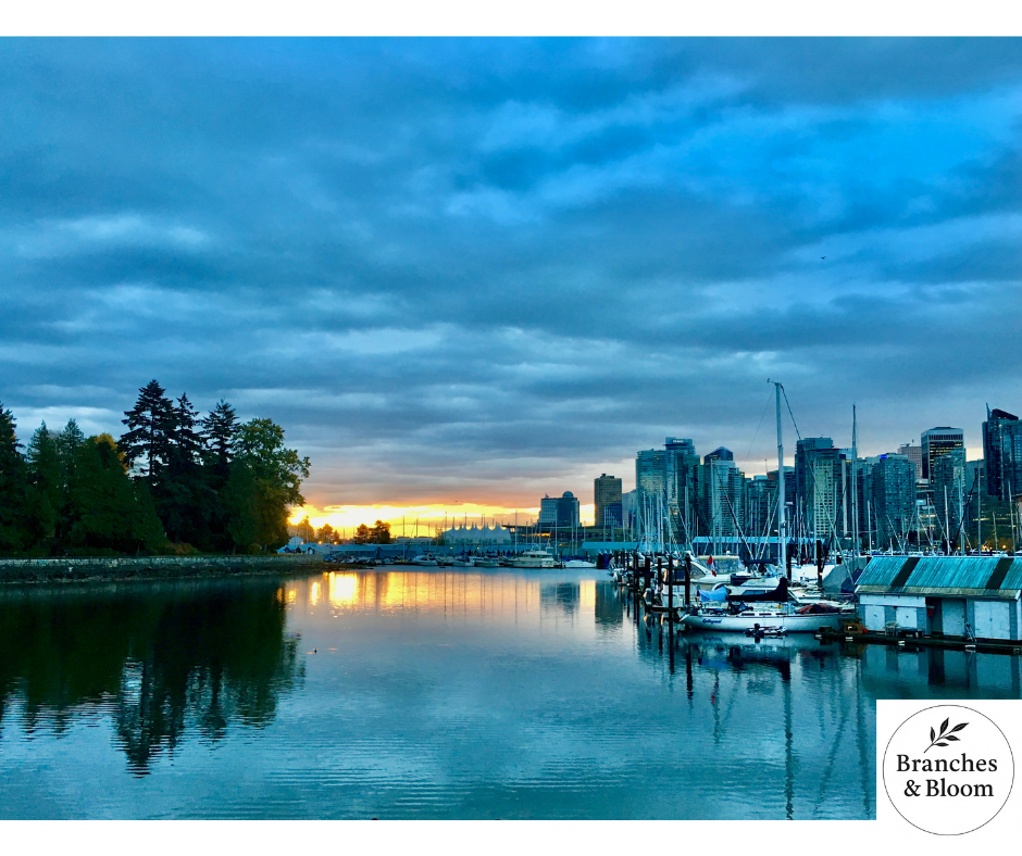 Vancouver in Stillness