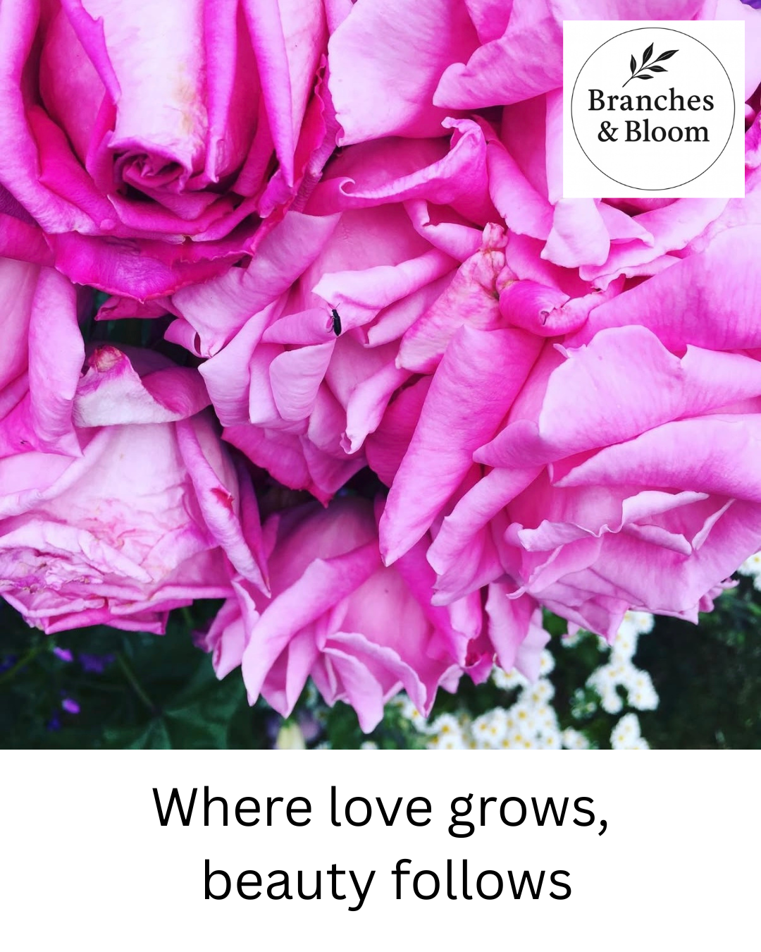 Where Love Grows