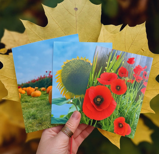 Build Your Own Bundle