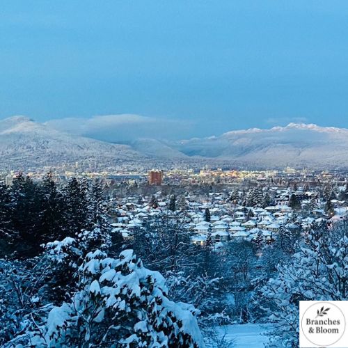 Snowfall Over Vancouver