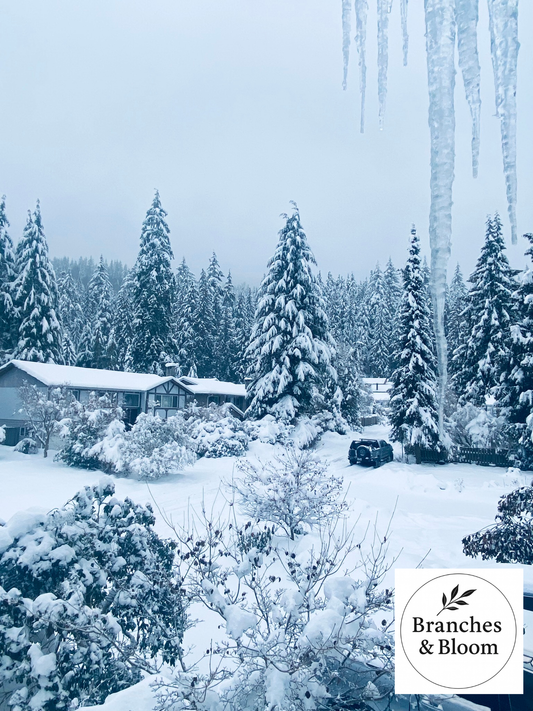 Winter's Crystal Grace