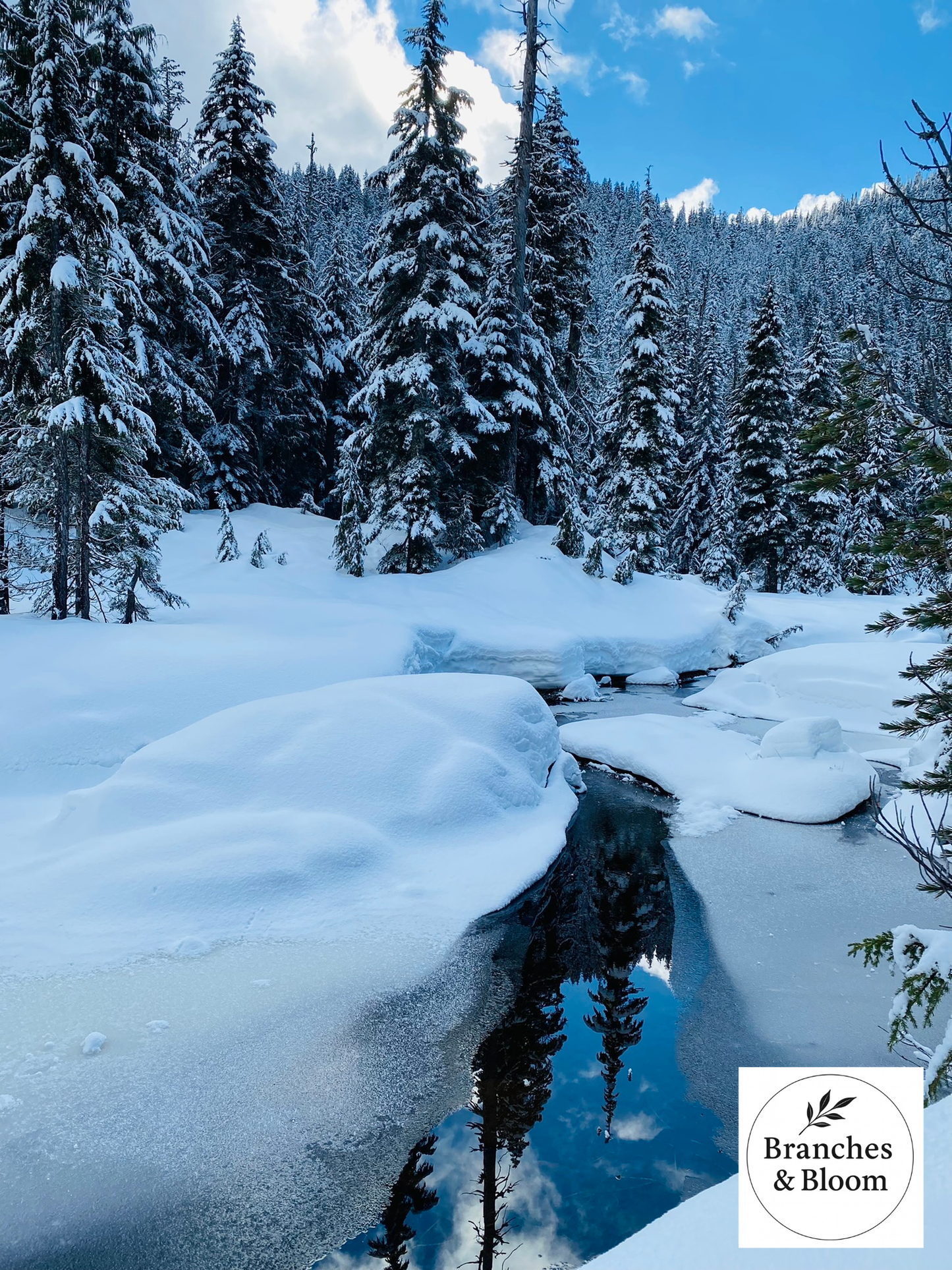 Where Winter Breathes