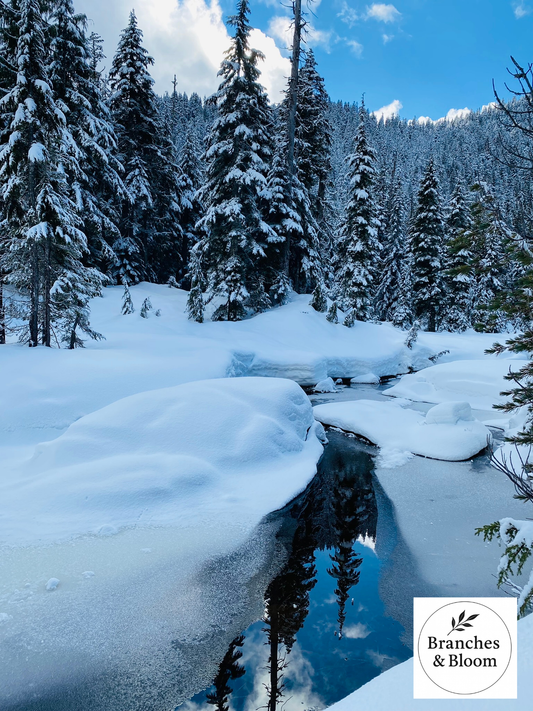 Where Winter Breathes