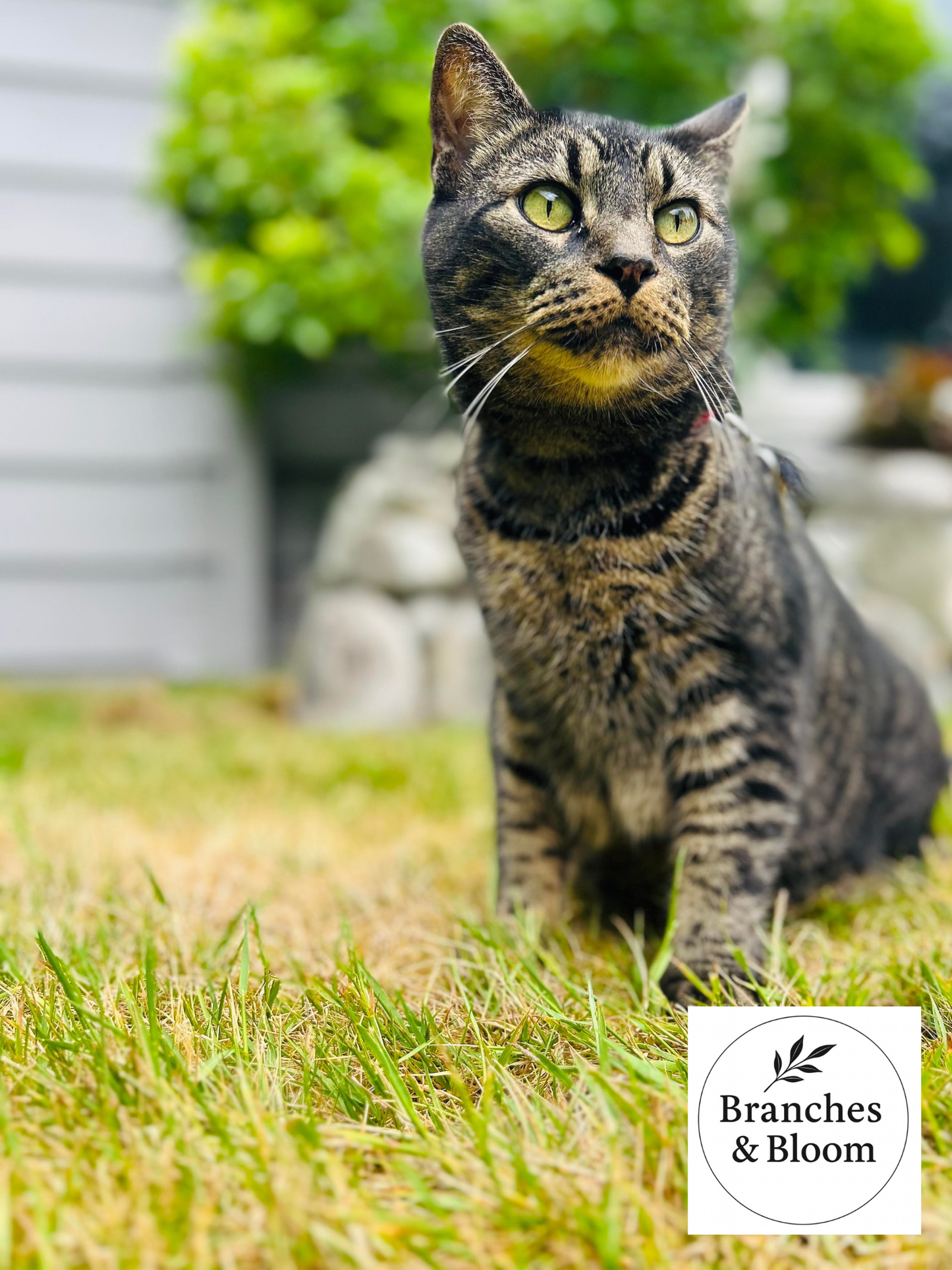 Curiosity in the Garden